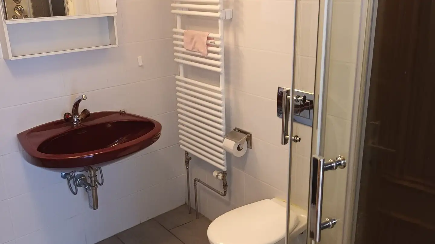 Studio for rent - Bolengasse 5, 8750 Glarus - Photo 3