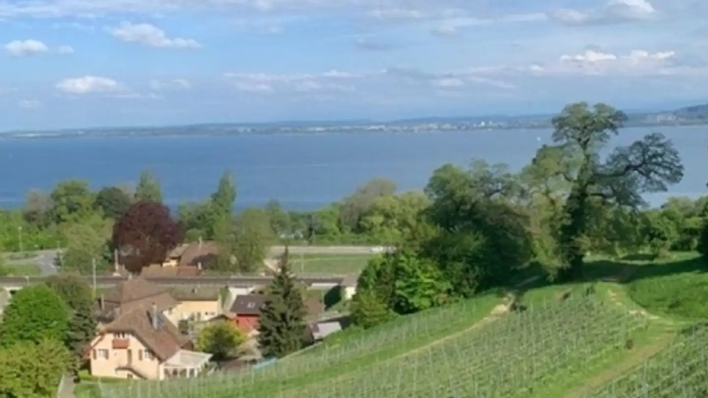 Spazio ufficio in affitto - 2028 Vaumarcus