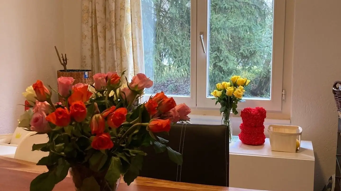 Apartment for rent - Eichstrasse 3, 8107 Buchs ZH