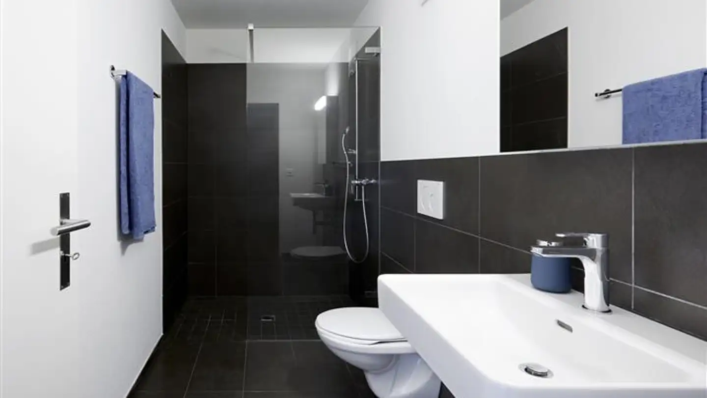 Appartement à louer - Rebrainstrasse 17, 8106 Adlikon b. Regensdorf - Photo 4