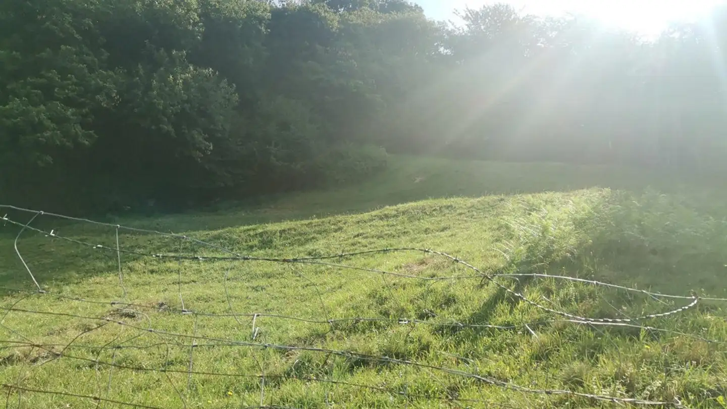 Terreno edificabile in vendita - 6838 Muggio - Foto 4