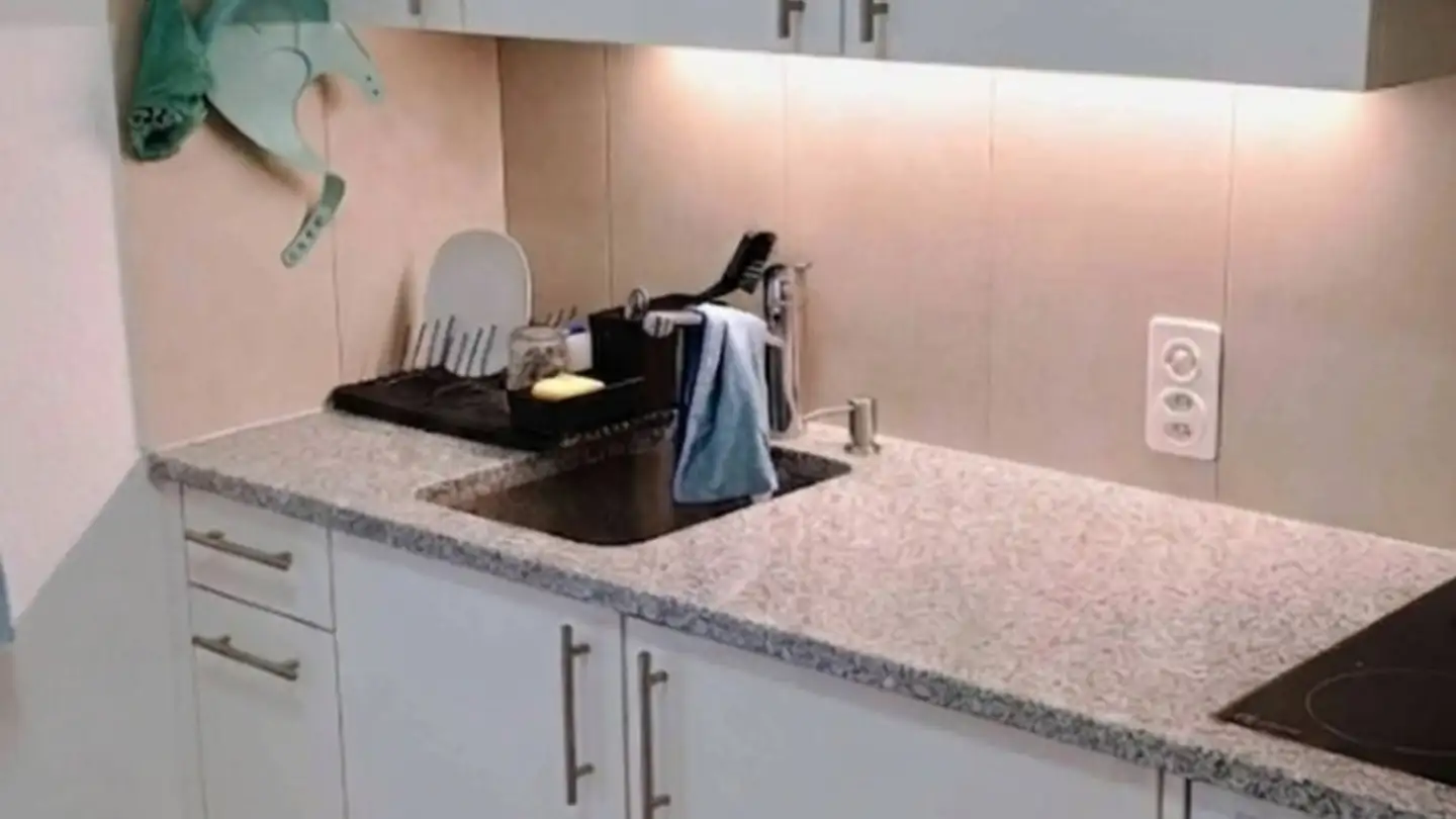Wohnung mieten - Zürcherstrasse 25, 8640 Rapperswil SG - Foto 2