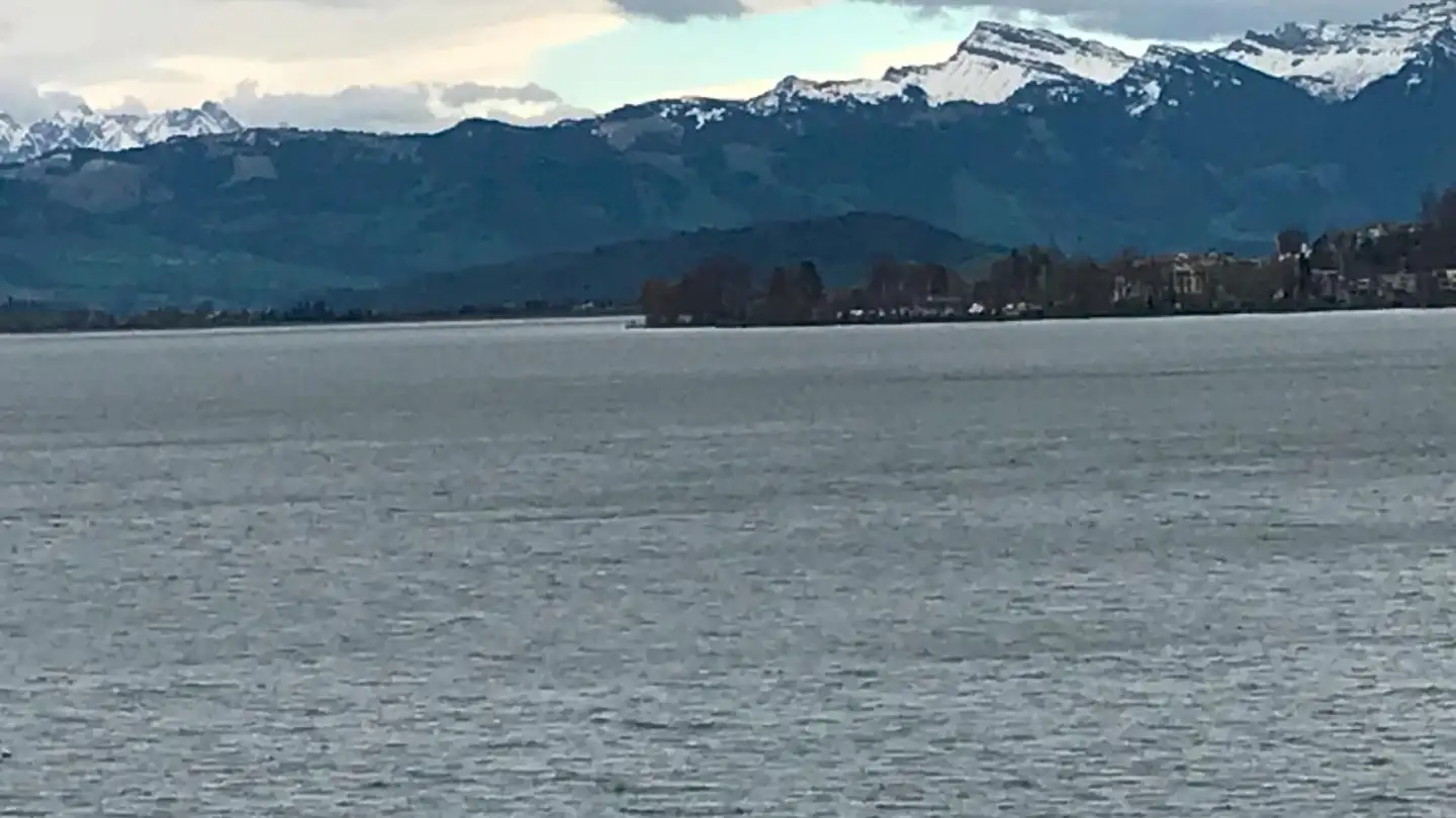 Möblierte Wohnung mieten - Hornstrasse 8, 8805 Richterswil - Foto 2