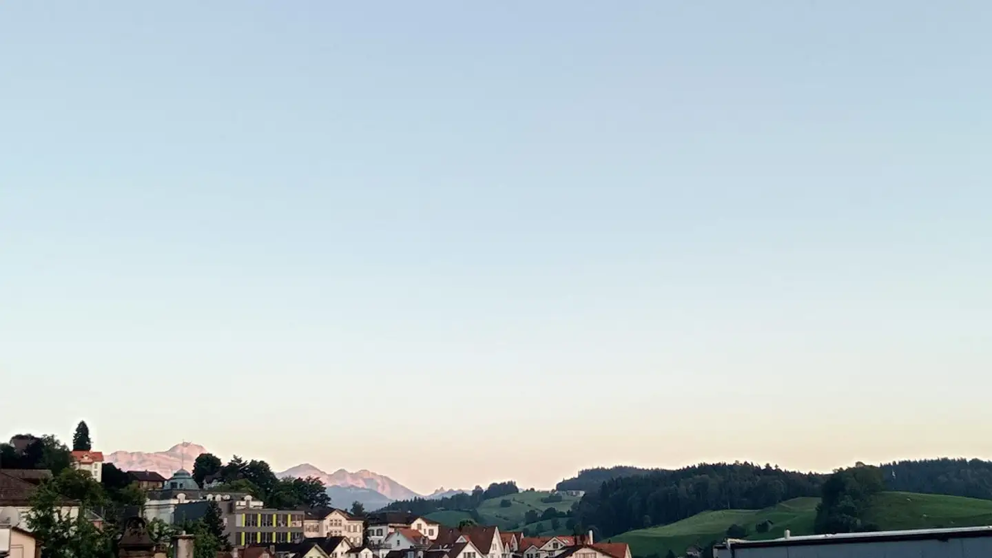 Appartement à louer - Gossauerstrasse 45, 9100 Herisau - Photo 3