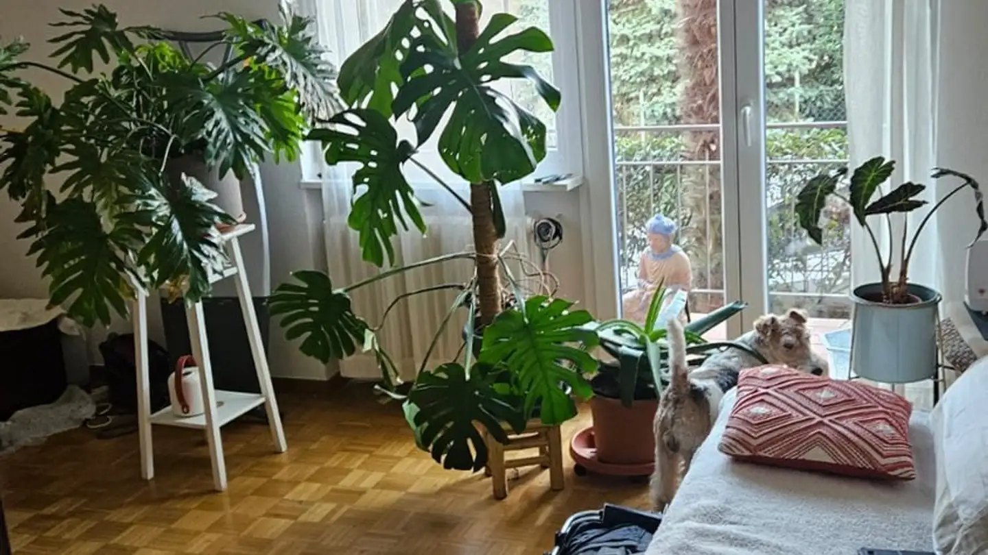 Apartment for rent - 6900 Paradiso - Photo 3