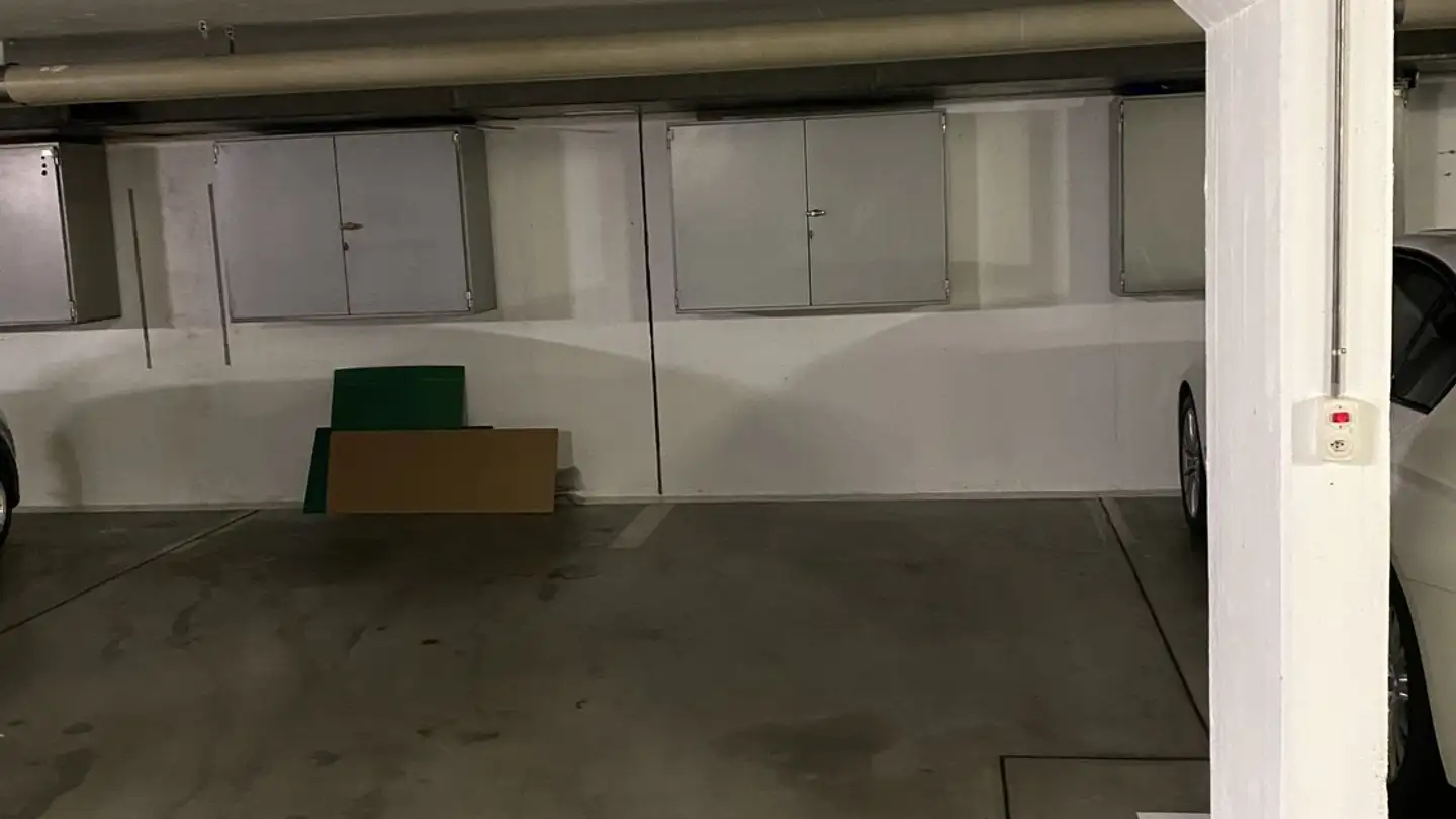 Single garage for rent - Steinrebenstrasse 45, 4153 Reinach BL