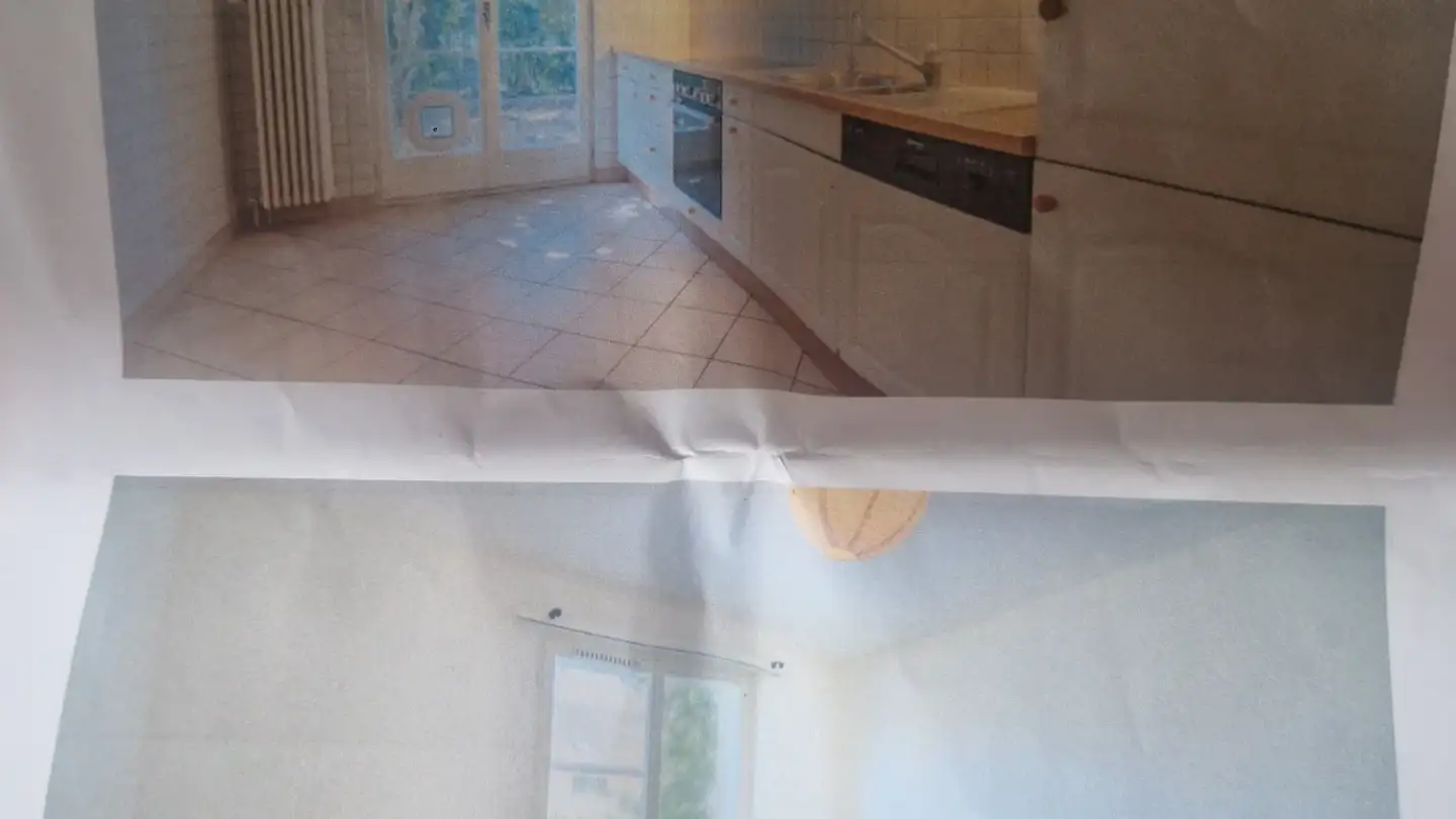 Stanza singola in affitto - Route D' Ambilly 4, 1226 Thônex - Foto 2