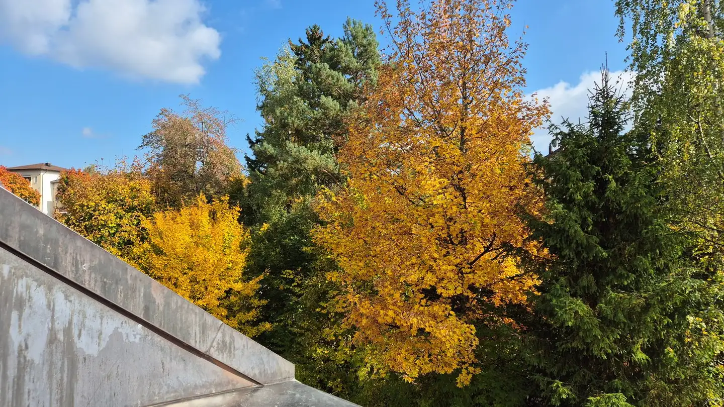 Attique à louer - Chemin De L'évêché / Bischofkänelweg 7, 2504 Biel/Bienne