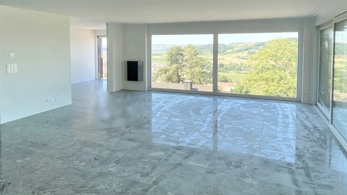 Casa bifamiliare in affitto - 6300 Zug