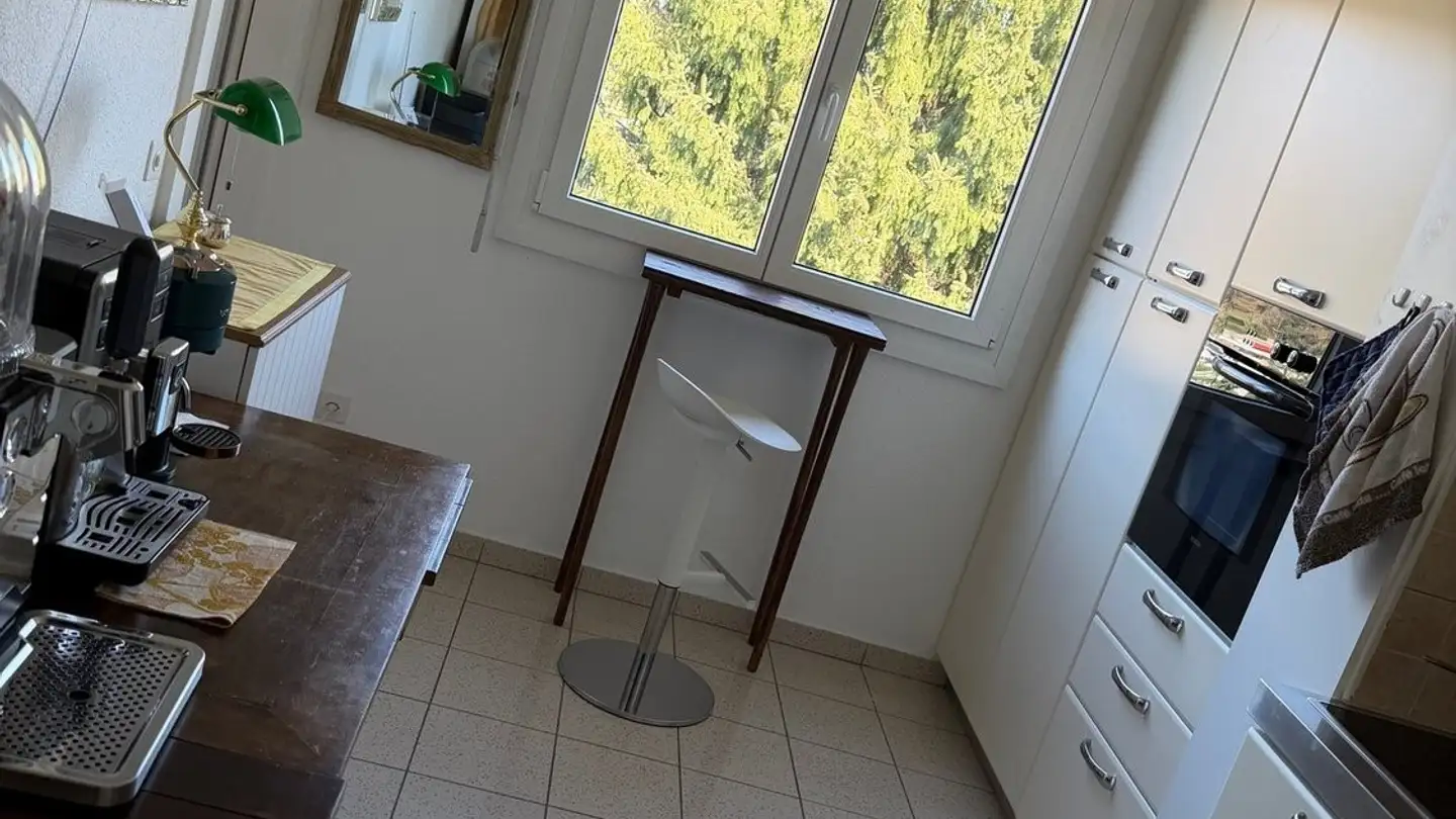 Appartement à louer - Riva Paradiso, 6900 Paradiso - Photo 3