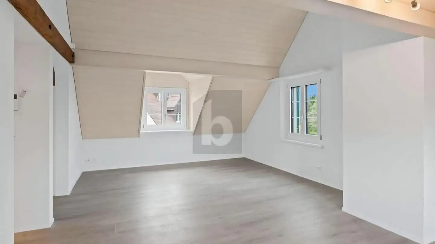 Penthouse for rent - 8157 Dielsdorf