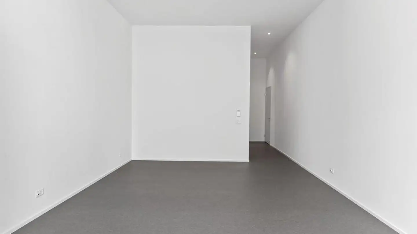 Loft à louer - Stickereistrasse 4, 9320 Arbon - Photo 3