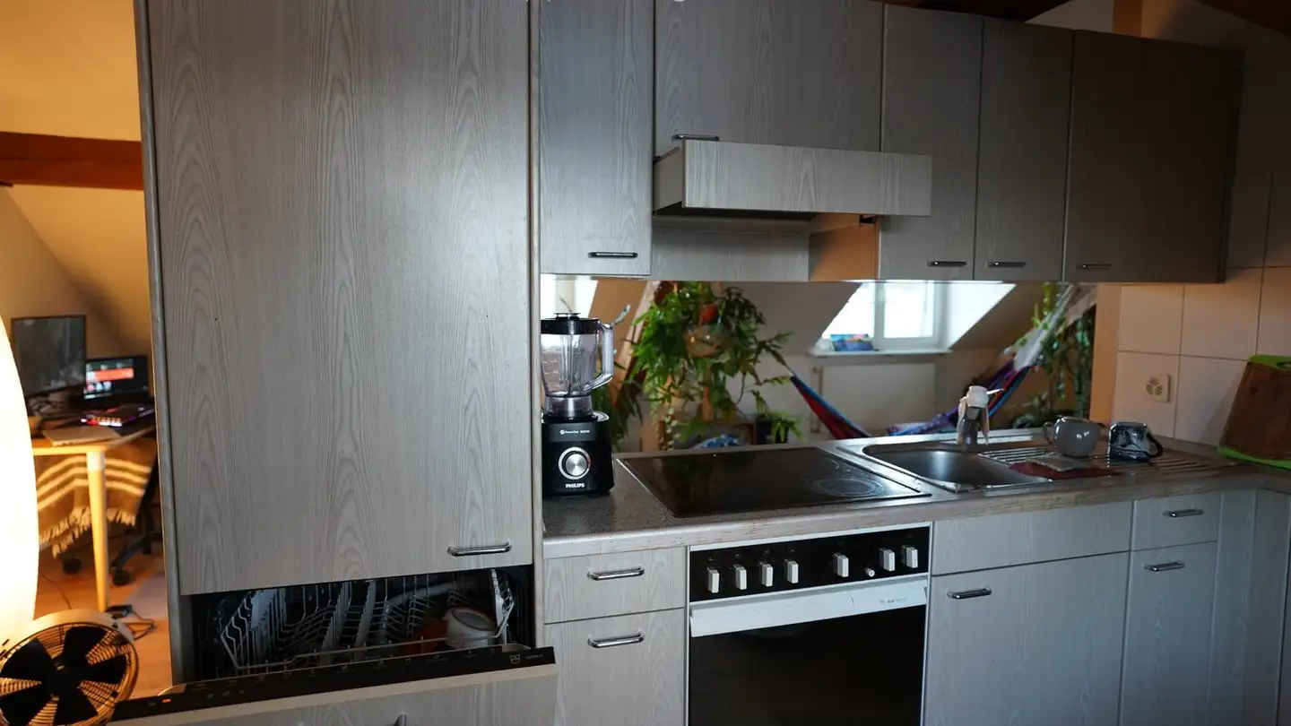 Appartement à louer - Rosinliweg 44, 8400 Winterthur - Photo 2