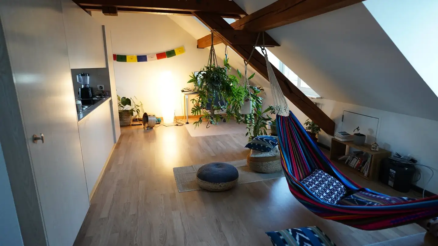 Appartement à louer - Rosinliweg 44, 8400 Winterthur - Photo 4