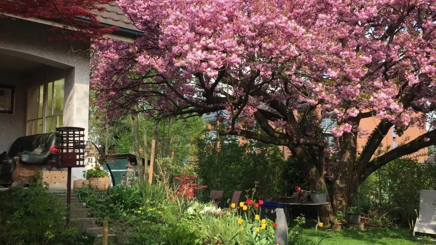 Stanza singola in affitto - Alte Gillhofstrasse 2, 8560 Märstetten - Photo 3