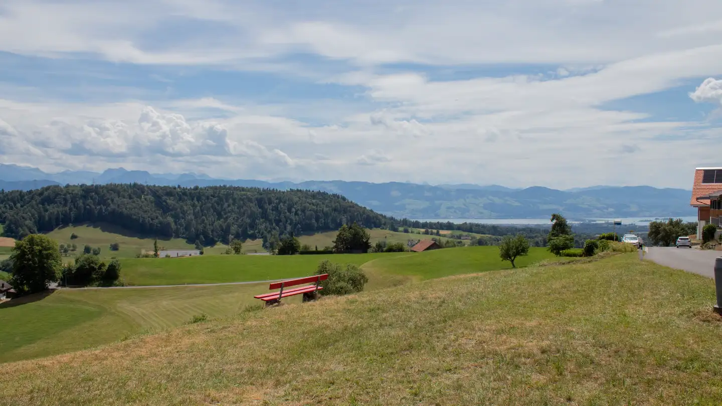 Single house for sale - 8636 Wald ZH
