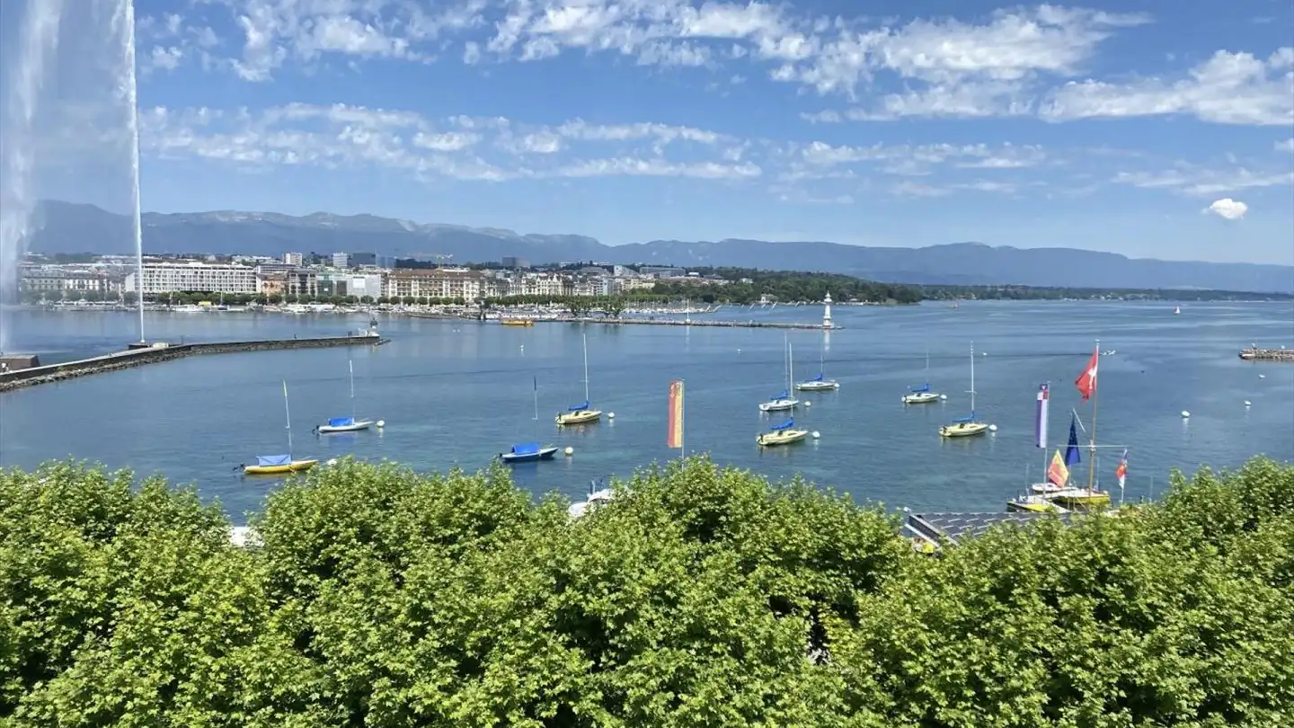 Wohnung kaufen - 1207 Genève