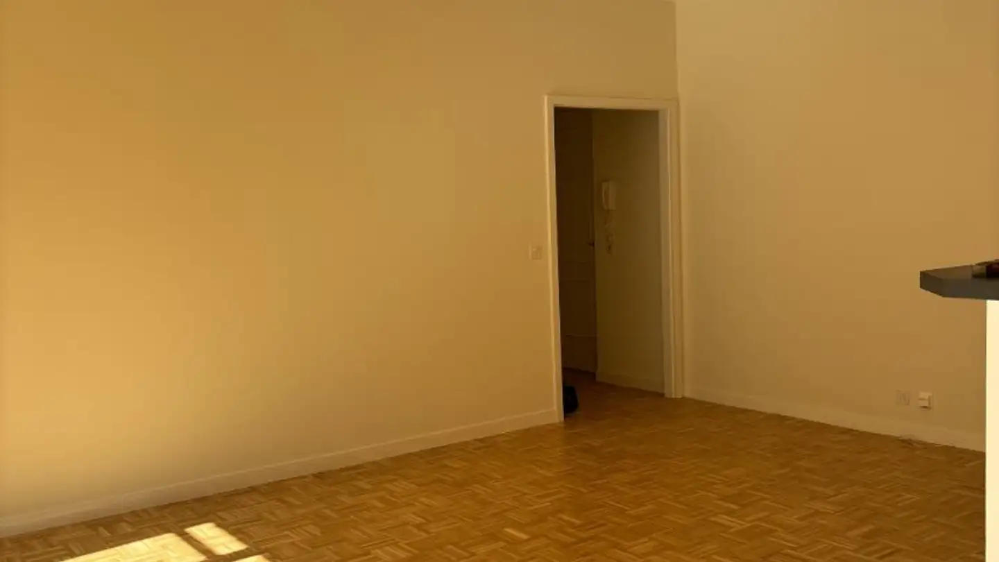 Appartamento in affitto - Rue De La Ferme, 1205 Genève - Foto 3