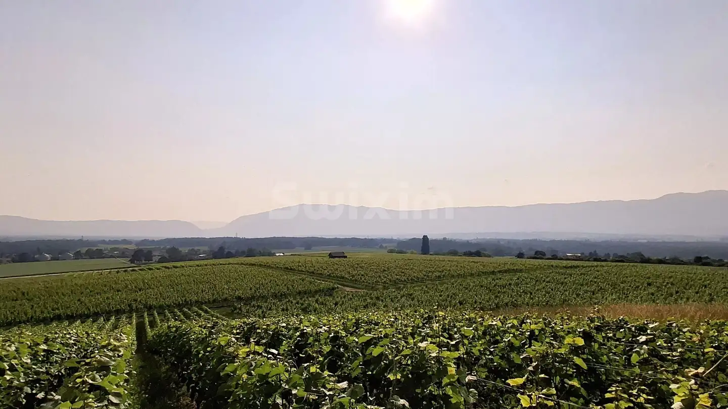 Single house for sale - 1204 Genève