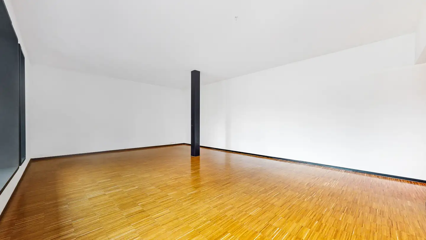 Loft in affitto - Anemonenstrasse 40, 8047 Zürich - Foto 2