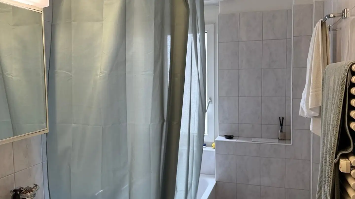 Apartment for rent - Kalkbreitestrasse 71, 8003 Zürich - Photo 3