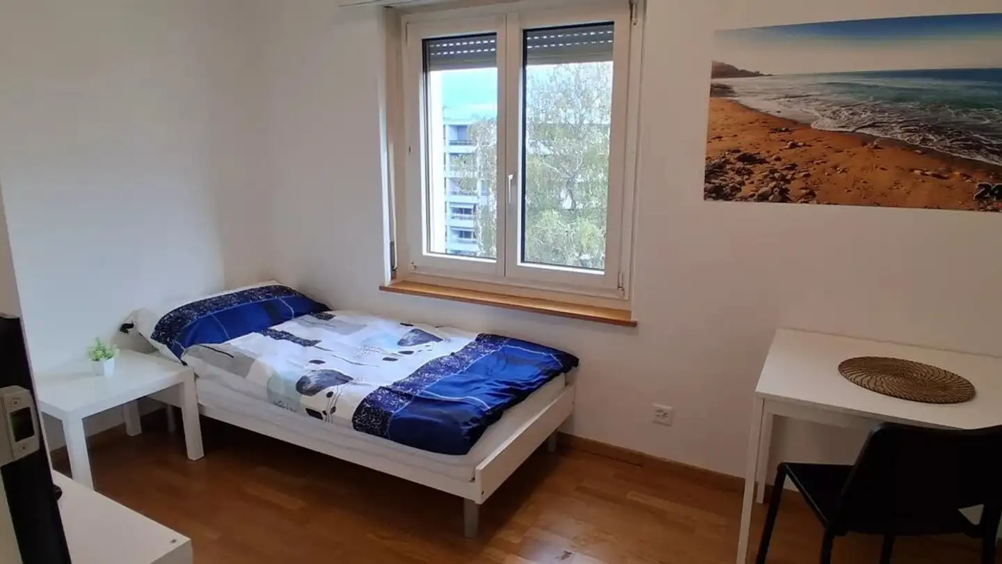 Single room for rent - Ringstrasse, 8306 Brüttisellen
