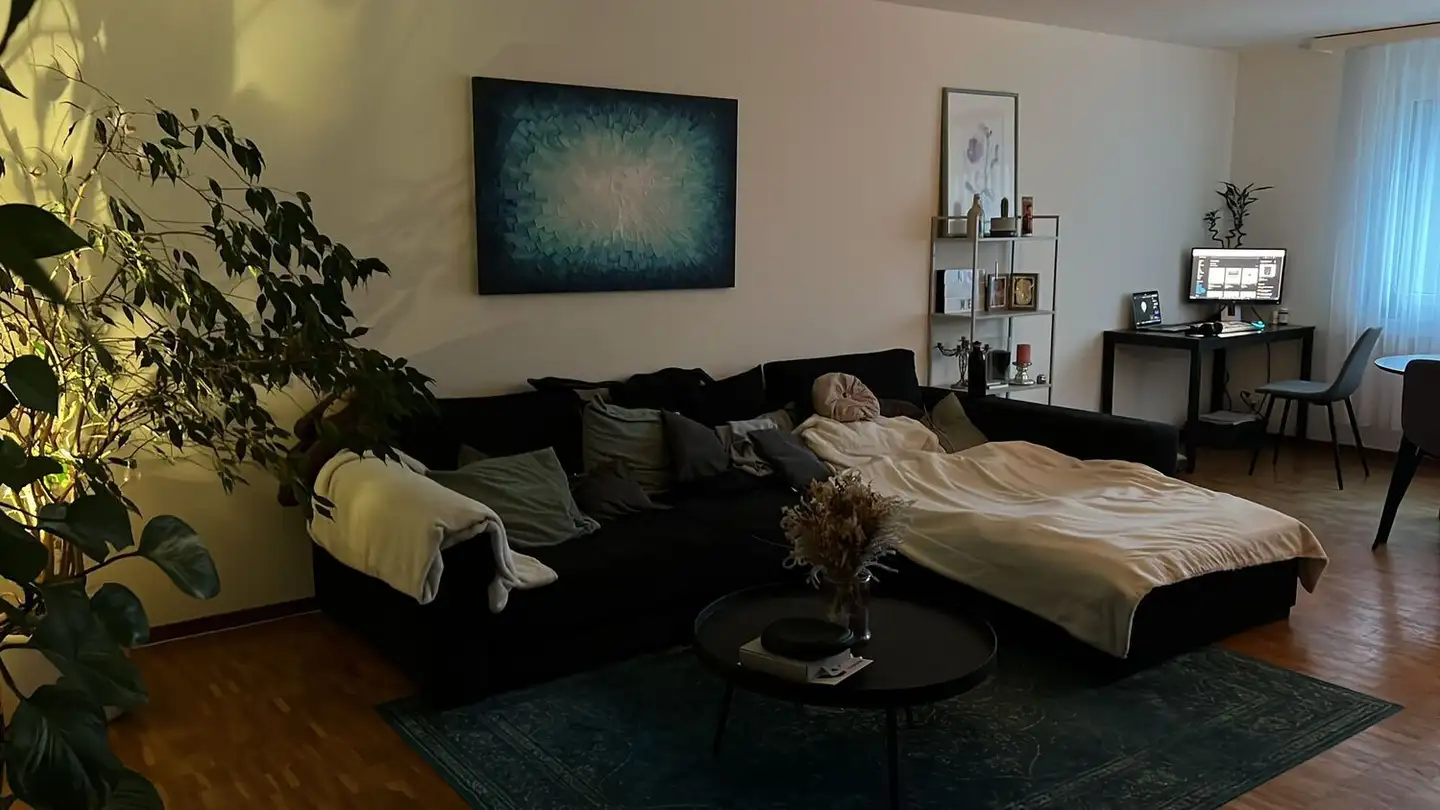 Furnished apartment for rent - 8050 Zürich