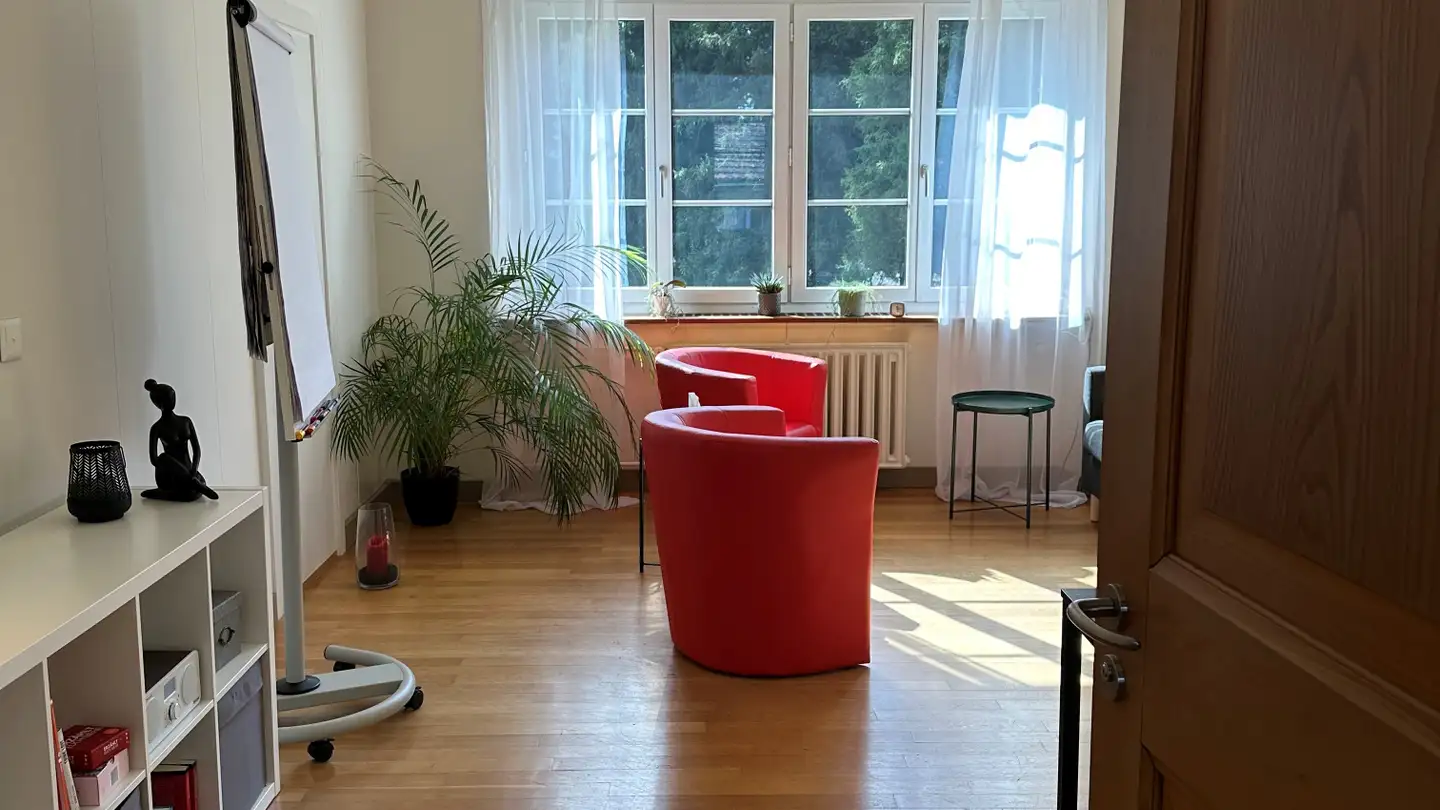 Spazio ufficio in affitto - Fabrikstrasse 10, 8866 Ziegelbrücke - Foto 2