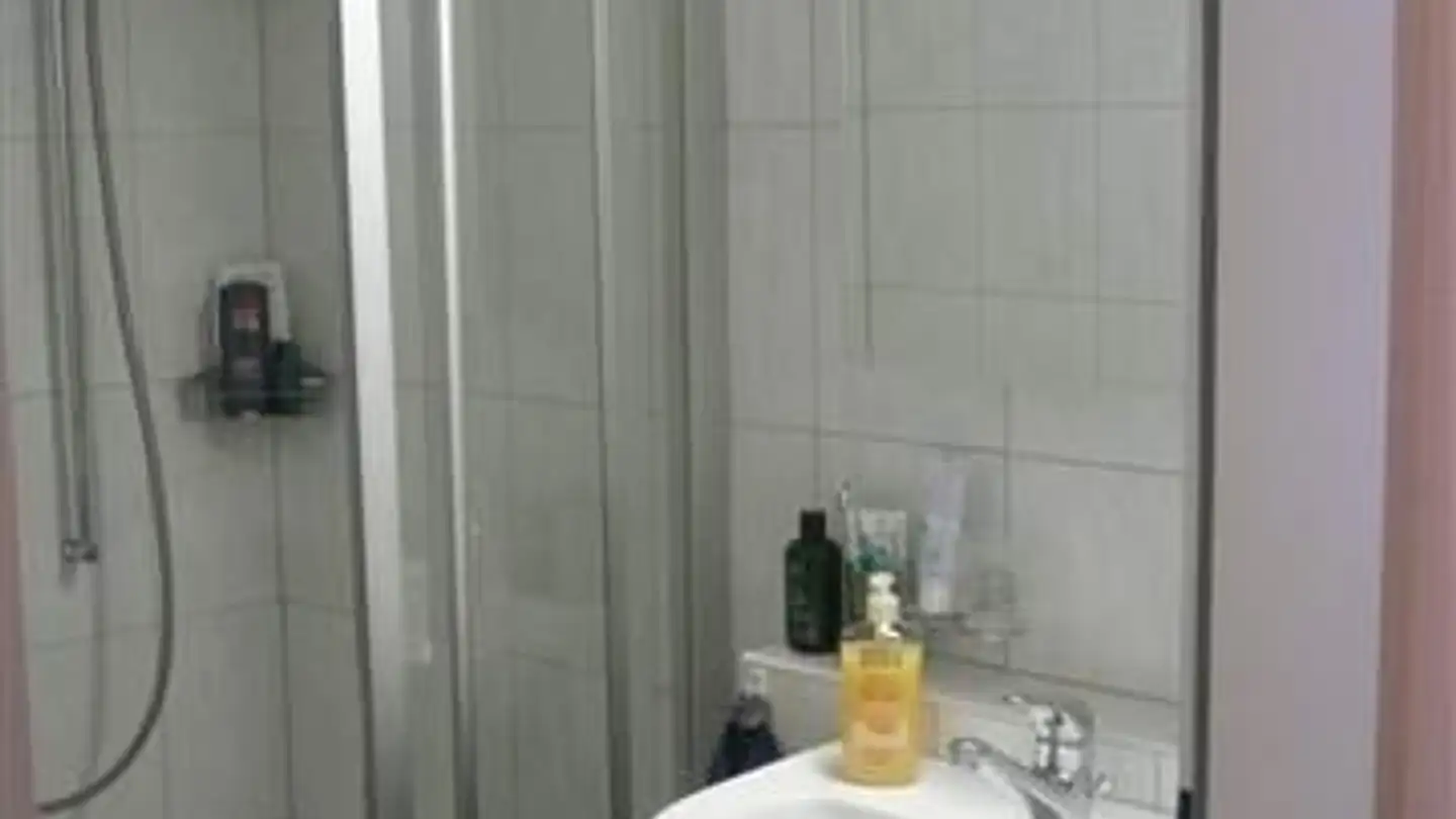 Apartment for rent - Adlerbergstrasse 10, 9000 St. Gallen - Photo 2