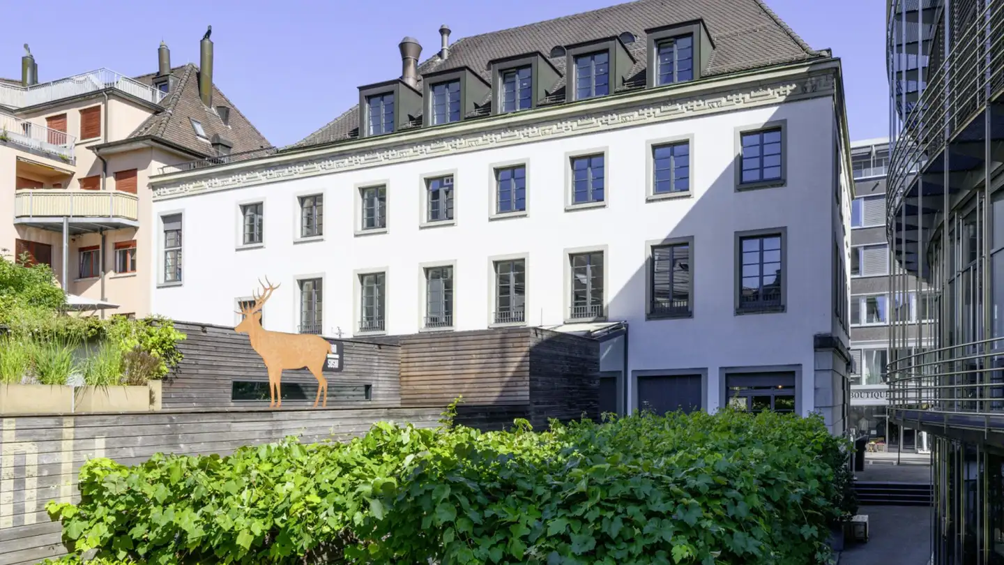 Bürofläche mieten - Hirschlistrasse, 5400 Baden