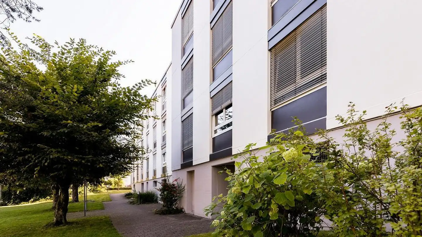 Wohnung mieten - Birkenweg 14, 3250 Lyss