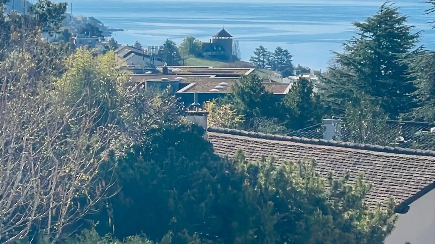 Appartement à louer - 1095 Lutry