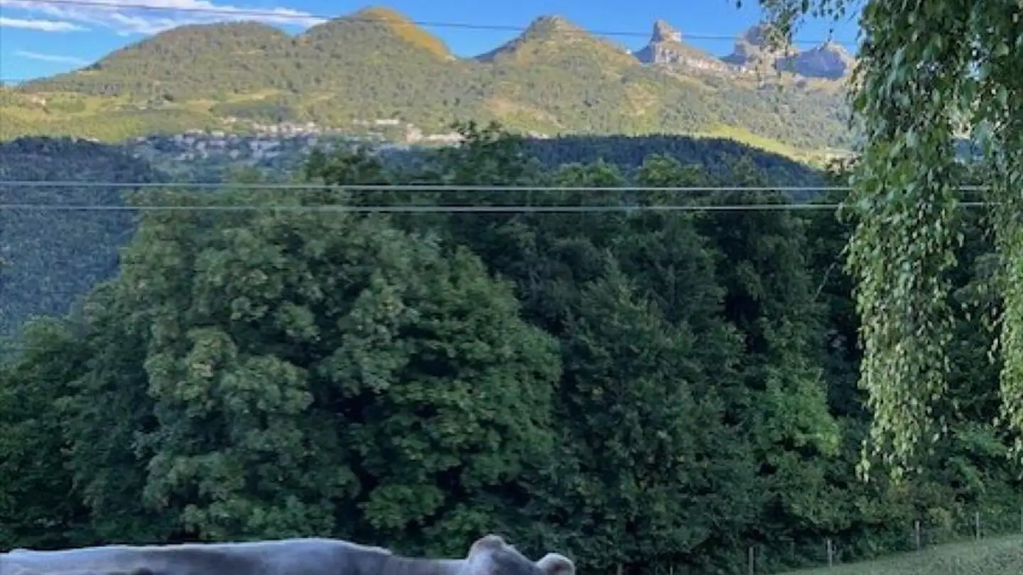 Fattoria di montagna in vendita - Route De Plambuit 55, 1867 Panex - Photo 2