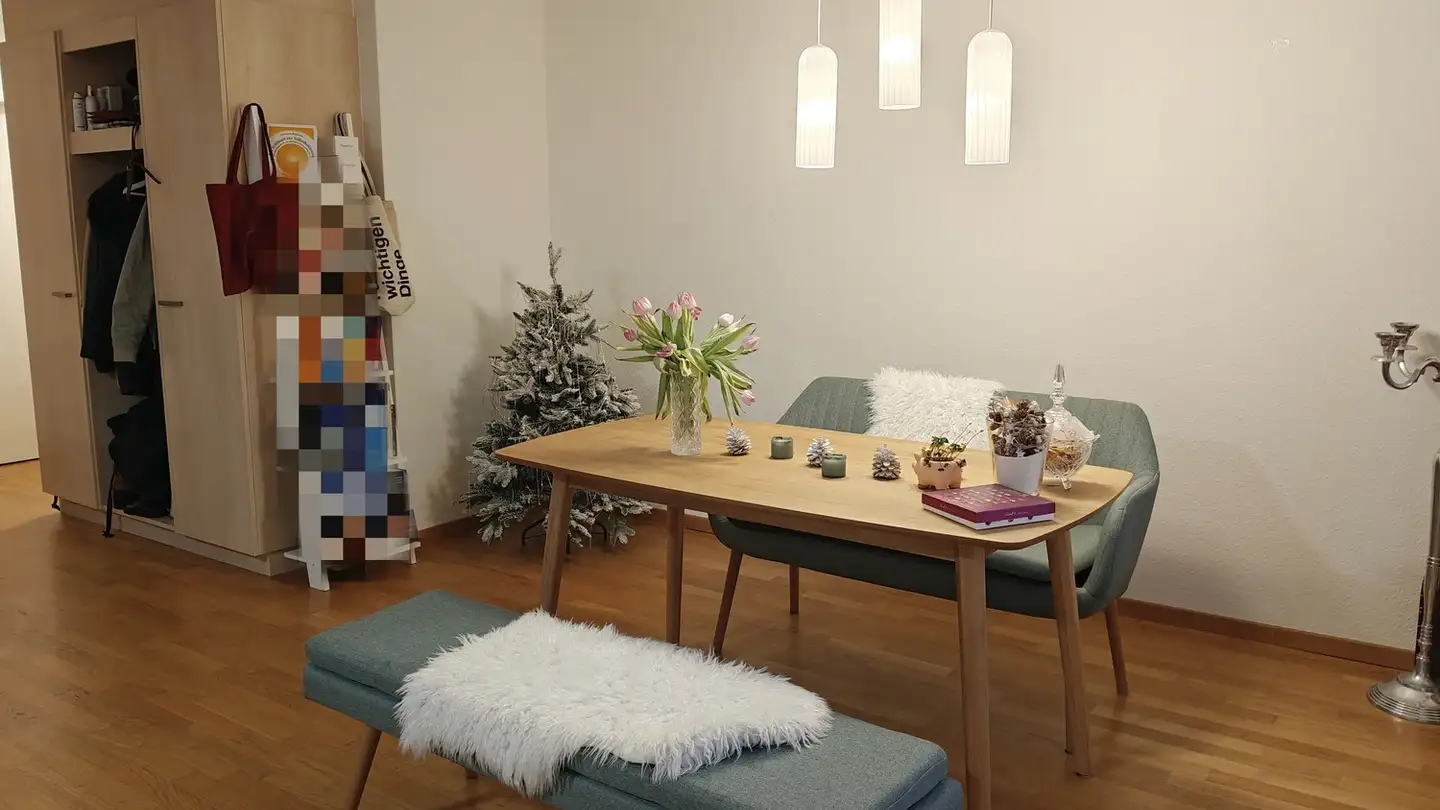 Wohnung mieten - 6006 Luzern