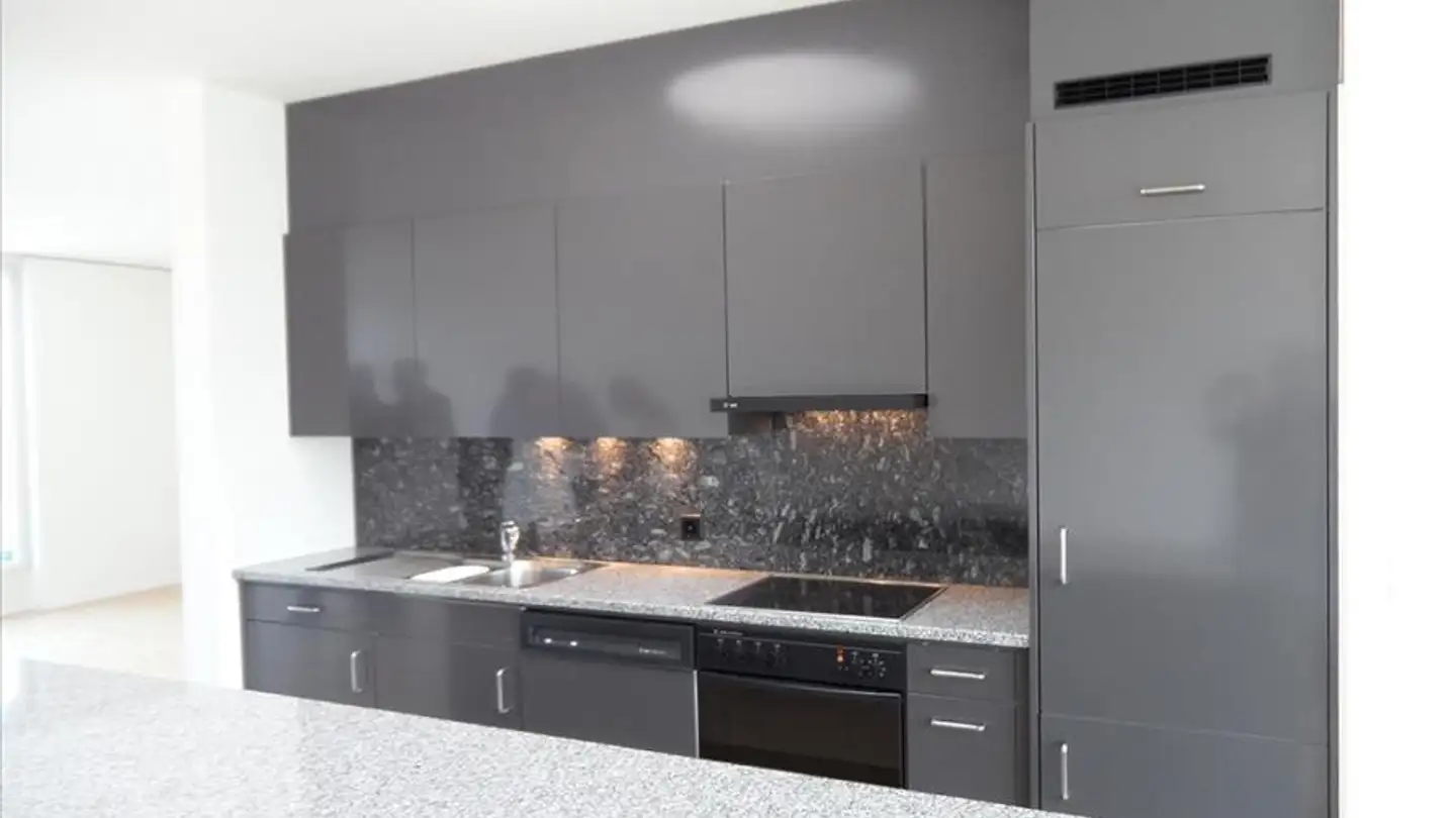 Wohnung mieten - Langhaus 4, 5400 Baden - Foto 2