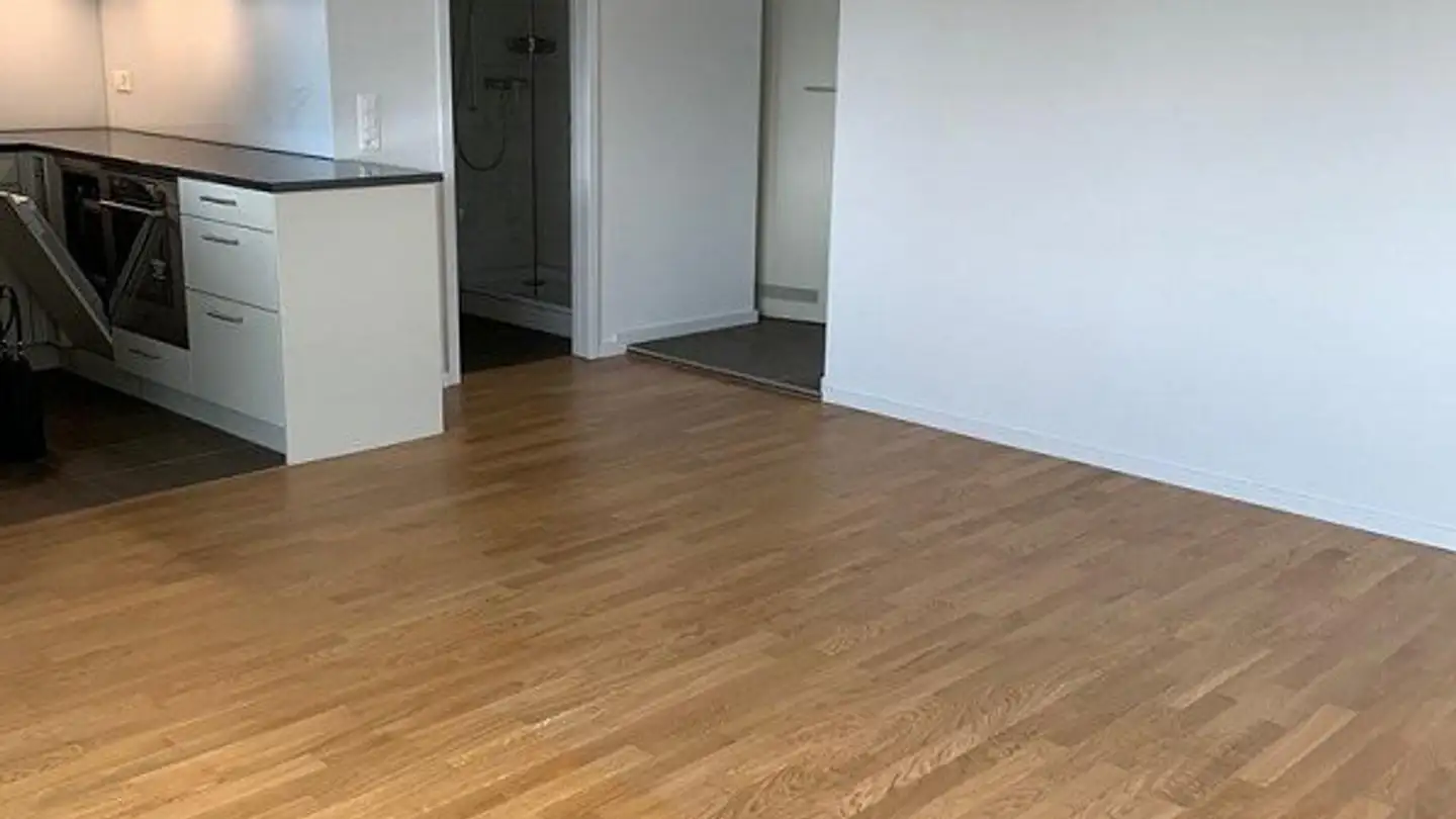 Appartamento in affitto - Rheinfallstrasse 9, 8212 Neuhausen am Rheinfall - Foto 4