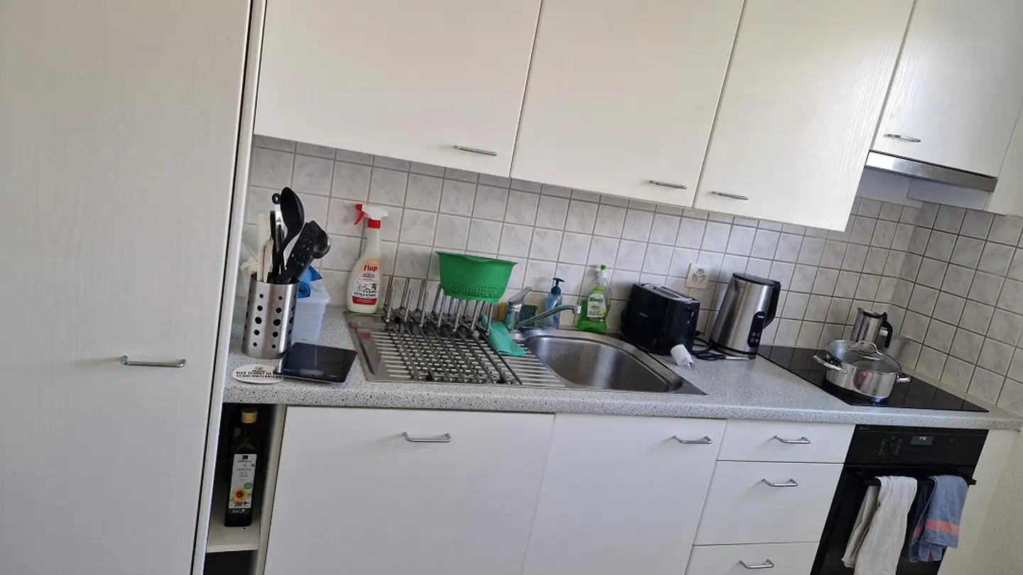 Möblierte Wohnung mieten - Schützenstrasse 11, 8953 Dietikon - Foto 3