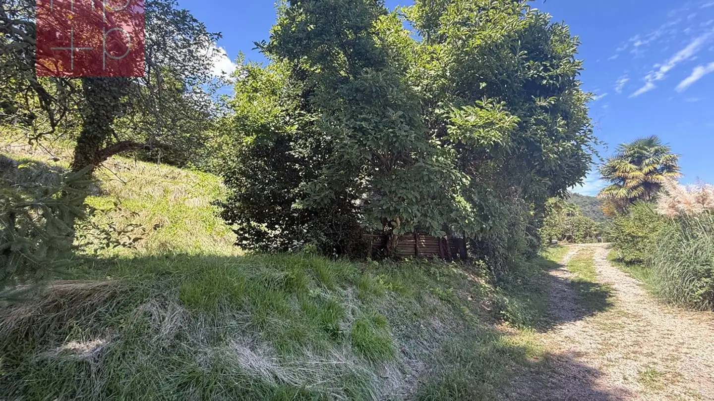 Terreno edificabile in vendita - 6984 Pura - Foto 2