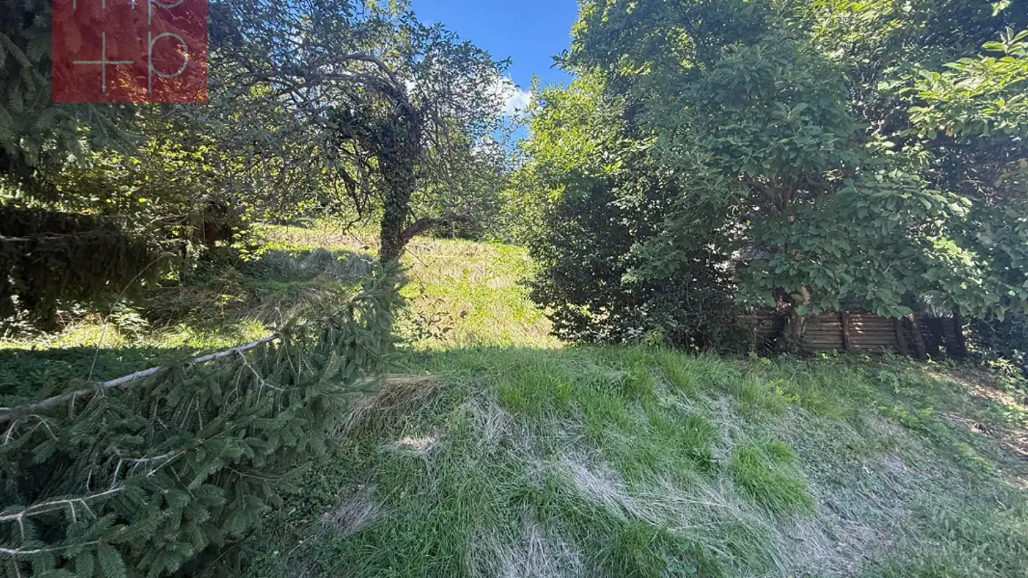 Terreno edificabile in vendita - 6984 Pura - Foto 3