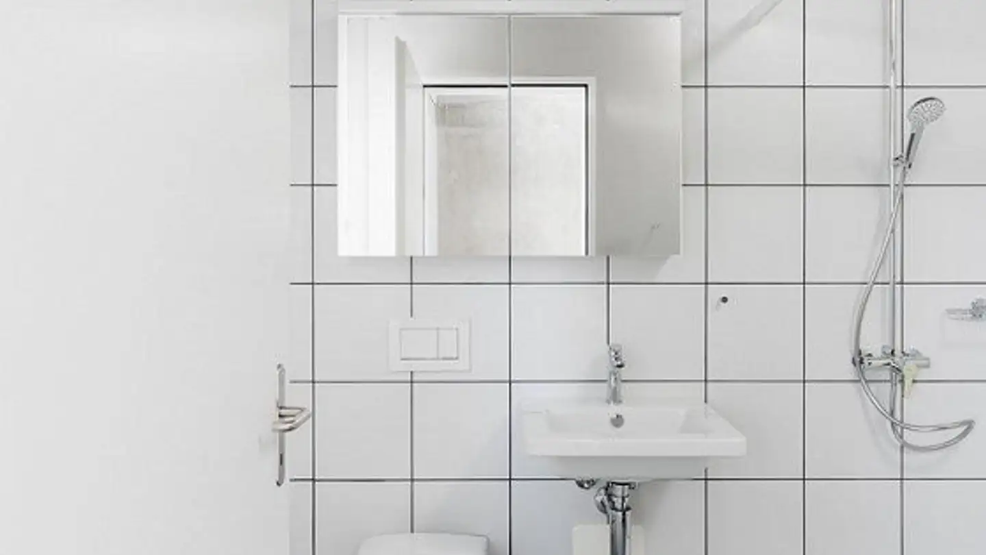 Appartamento in affitto - Neuhardstrasse 9, 8105 Regensdorf - Foto 4