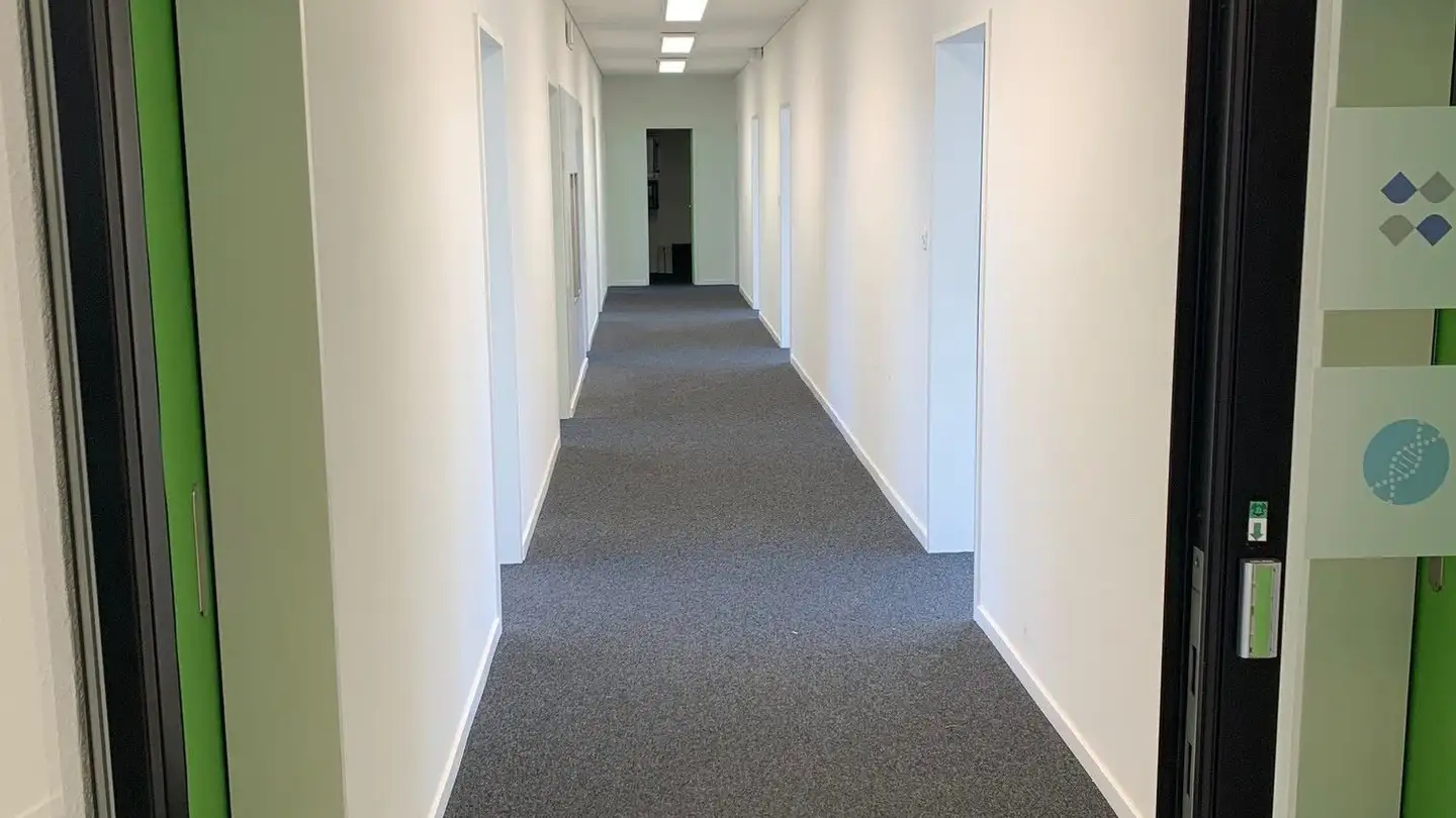 Bürofläche mieten - Henric Petri-Strasse 6, 4051 Basel - Foto 2