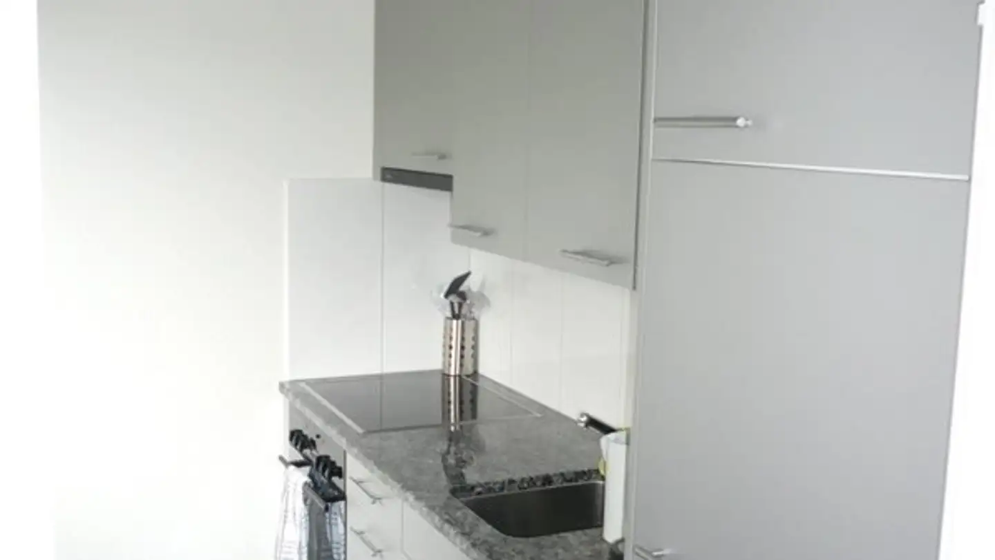 Apartment for rent - Müllerwis 21, 8606 Greifensee - Photo 2