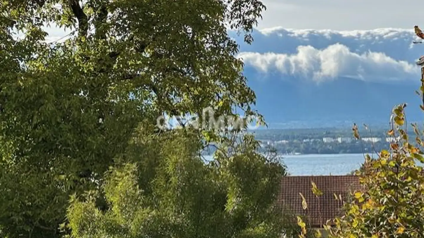 Wohnung kaufen - 1247 Anières