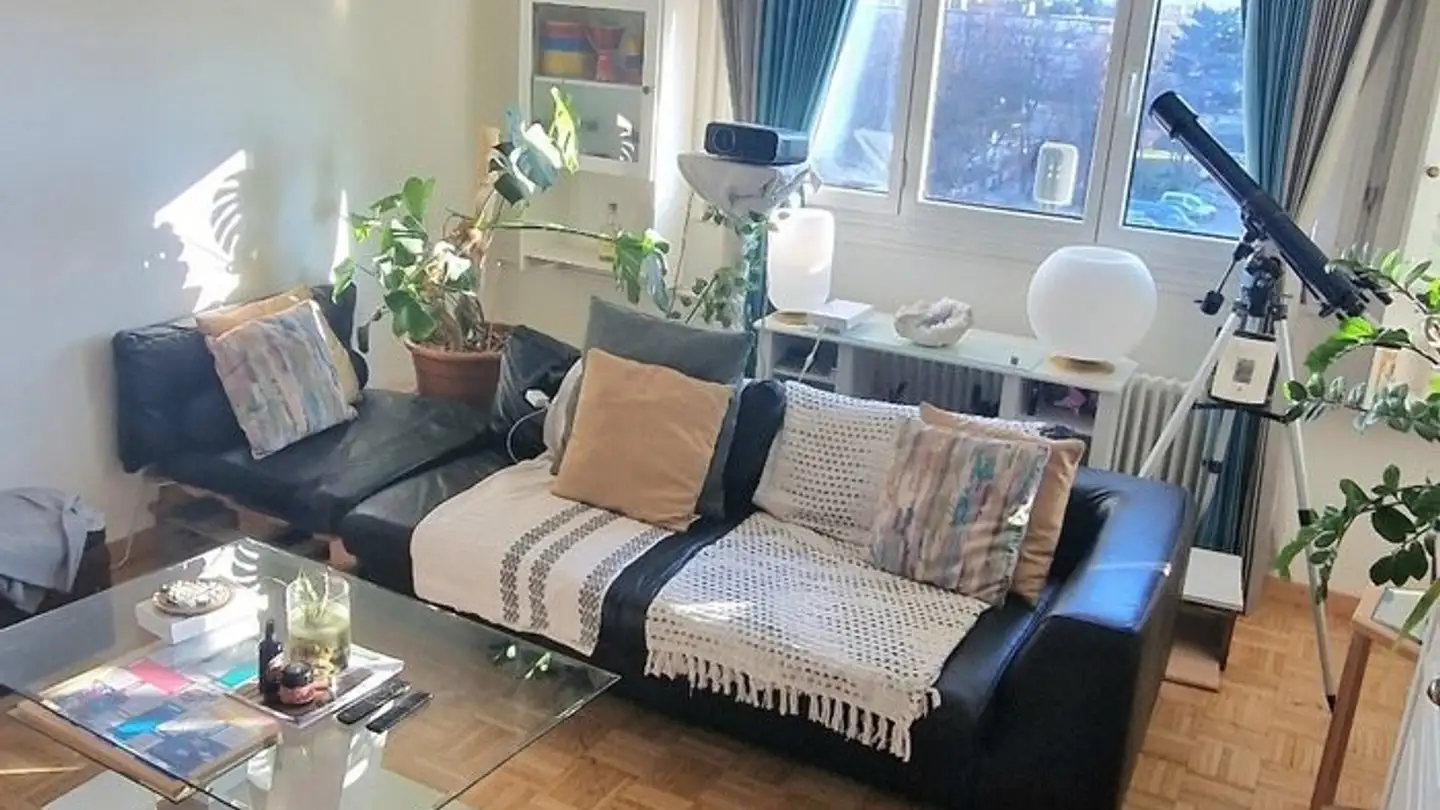 Appartamento in affitto - Avenue Du Gros-Chêne, 1213 Onex