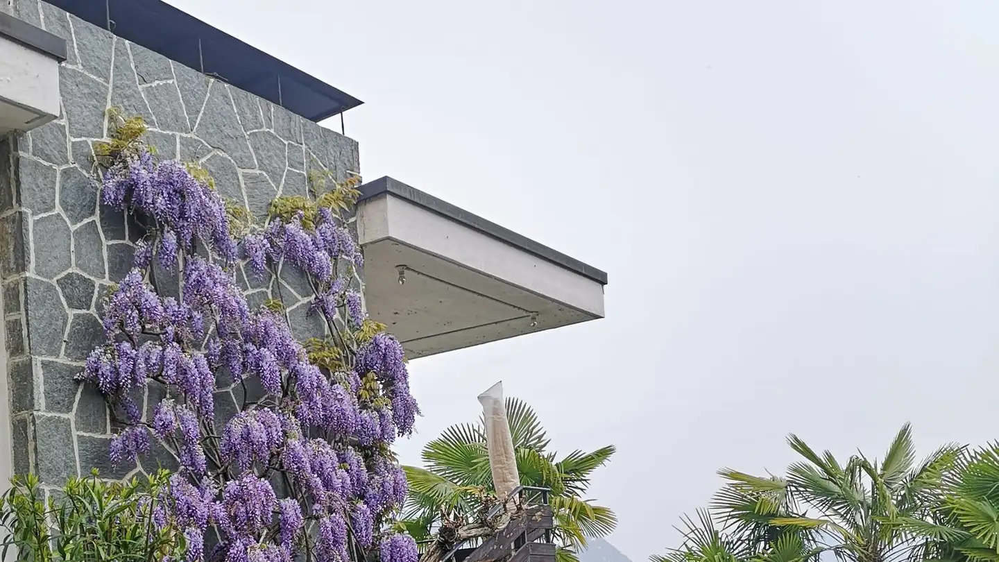 Casa bifamiliare in vendita - Via Selva 12, 6990 Cassina d'Agno - Foto 2