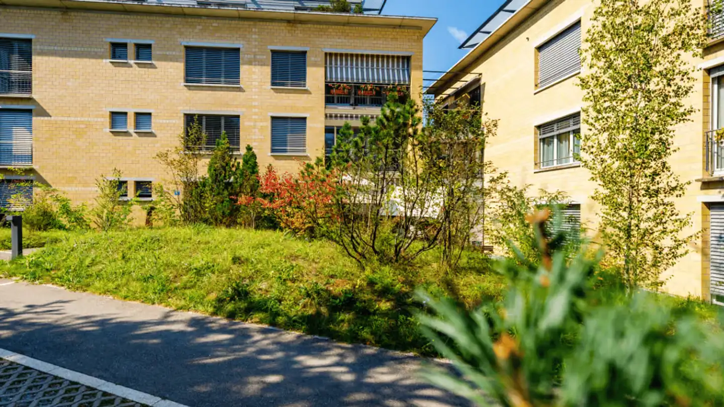 Penthouse for rent - Trichtenhauser Strasse 8, 8125 Zollikerberg