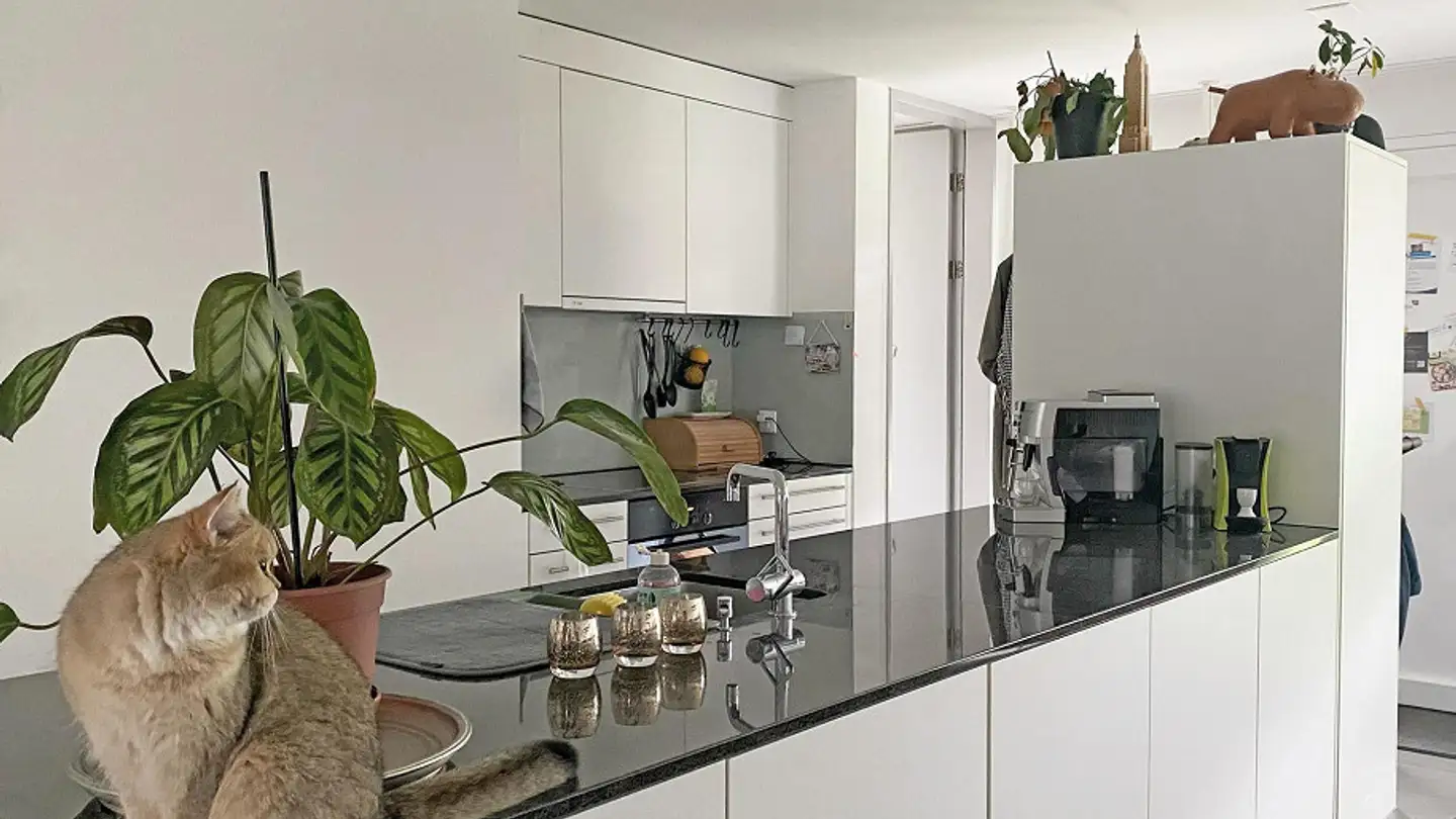 Appartamento in affitto - Gseckstrasse 20, 8707 Uetikon am See - Foto 2