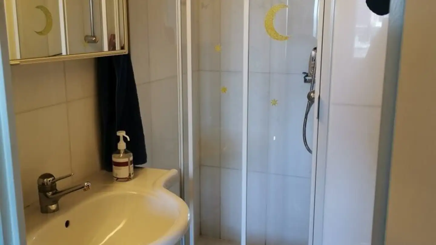 Attic flat for rent - Hardgutstrasse, 8048 Zürich - Photo 3