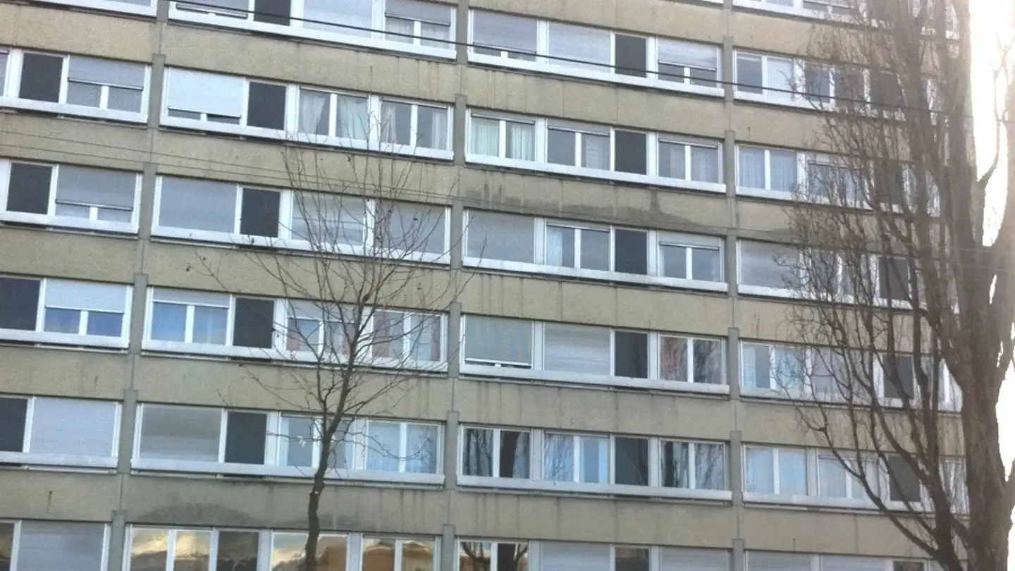 Parcheggio interno in affitto - Avenue De Vaudagne 38, 1217 Meyrin
