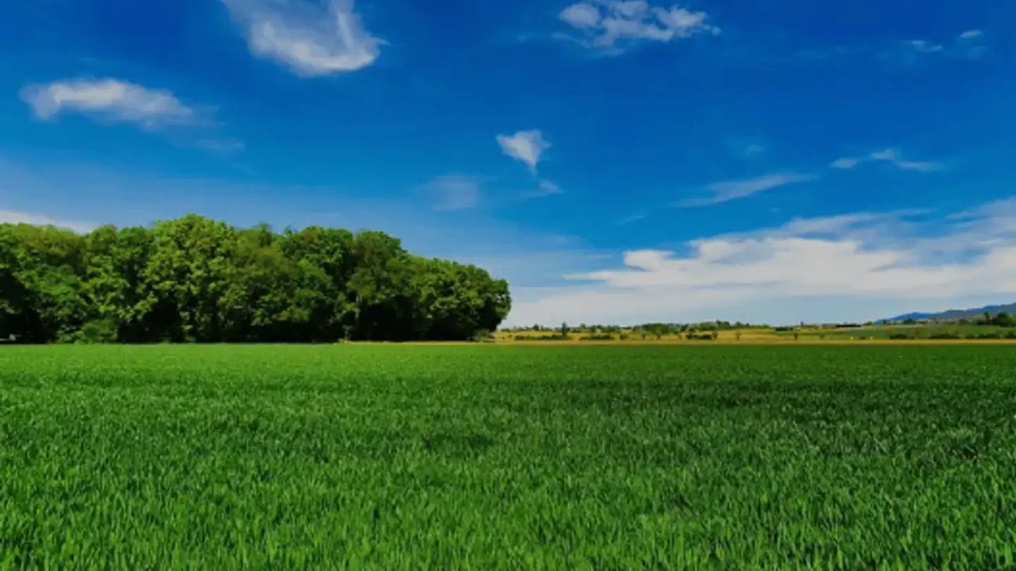 Single house for sale - 1241 Puplinge